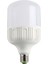 Beyaz Işık Ct- 4263 24W 6500K 4