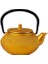 Filtre Çiçek Çay Bayan Dökme Demir Çay Tapotu Kettle Kahve Çaydanlık | Çaydanlıklar(Yurt Dışından) 1