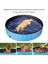 Katlanabilir Pvc Köpek Kedi Pet Yüzme Havuzu Pet Köpek (Yurt Dışından) 2