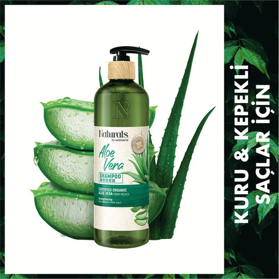 Naturals By Watsons Şampuan Aloe Vera 490 ml