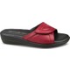  Renk Bordo