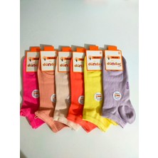 Dündar Kadın  Plus  Modal Patik Çorap Karışık 6 lı