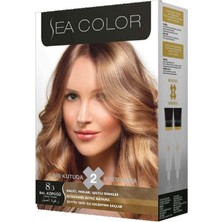 Sea Color Kit Boya 8.3 Bal Köpüğü