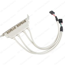 BK Teknoloji Pc Anakart 9 Pin Header 4 Port USB 2.0 Dişi Kablo Pcı Braketi