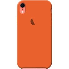 Smart Tech Apple IPhone XR Içi Kadife Silikon Lansman Kılıf