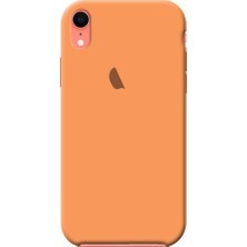 Smart Tech Apple IPhone XR Içi Kadife Silikon Lansman Kılıf