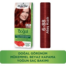 Palette Doğal Renkler 6-88 Ateş Kızılı