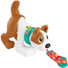 Fisher-Price HHH13 , Emeklemeyi ve Saymayı Öğreten Köpekçik