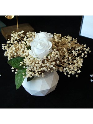 Mory Concept Çiçek Saksı 2 Adet Beyaz Güller Çipsolarla Sarılı Beyaz Taş Saksı