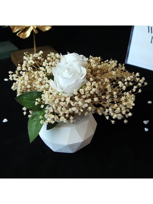 Mory Concept Çiçek Saksı 2 Adet Beyaz Güller Çipsolarla Sarılı Beyaz Taş Saksı
