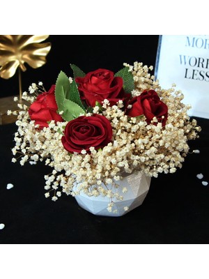 Mory Concept Çiçek Saksı 5 Adet Kırmızı Güller Çipsolarla Sarılı Beyaz Taş Saksı Sevgiliye Hediye