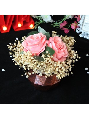 Mory Concept Çiçek Saksı 2 Adet Pembe Güller Çipsolarla Sarılı Rose Gölgeli Taş Saksı Sevgiliye Hediye