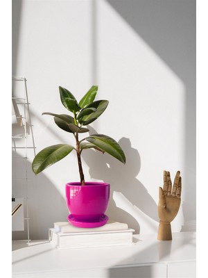 Evdek Tabaklı Pembe Çömlek Saksi 19X19 cm