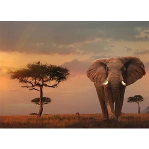 Ravensburger Puzzle 1000 Parça Elefant 151592