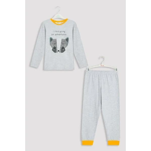 Açık Gri Melanj Erkek Çocuk B. Racoon Pijama Takımı