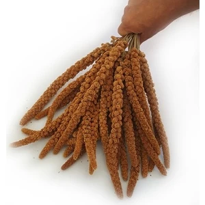 Doğal Kızıl Dal Darı 1 kg