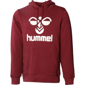 Arus Erkek Bordo Kapüşonlu Sweatshirt