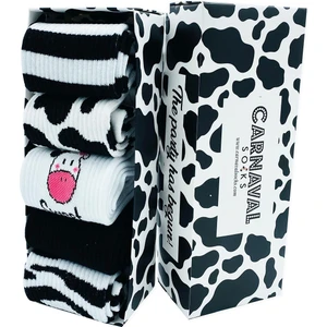 Carnaval Socks 5'li Milk Çemberler Desenli Spor Çorap Kutusu