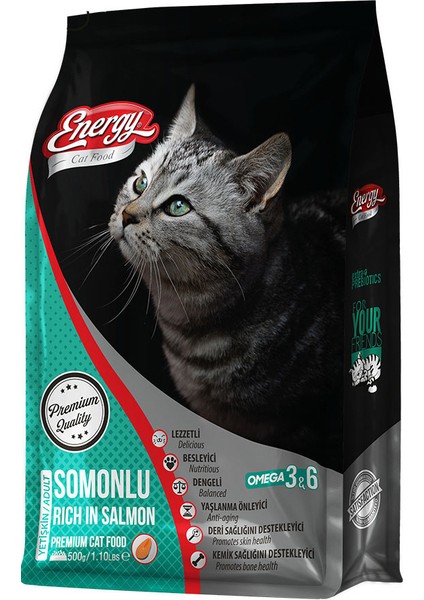 Cat Food Energy Somonlu Yetişkin Kedi Maması 500 G Özel Koli 8 Adet