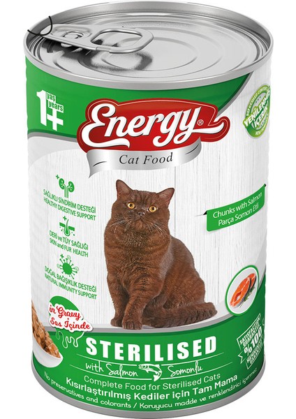 Cat Food Energy Somonlu Kısırlaştırılmış Islak Kedi Maması 400 G Özel Koli 6 Adet