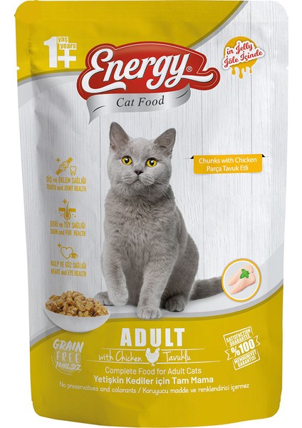 Cat Food Energy Tavuklu Yetişkin Islak Kedi Maması 85 G Özel Koli 12 Adet