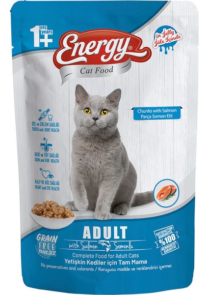 Cat Food Energy Somonlu Yetişkin Islak Kedi Maması 85 G Özel Koli 12 Adet