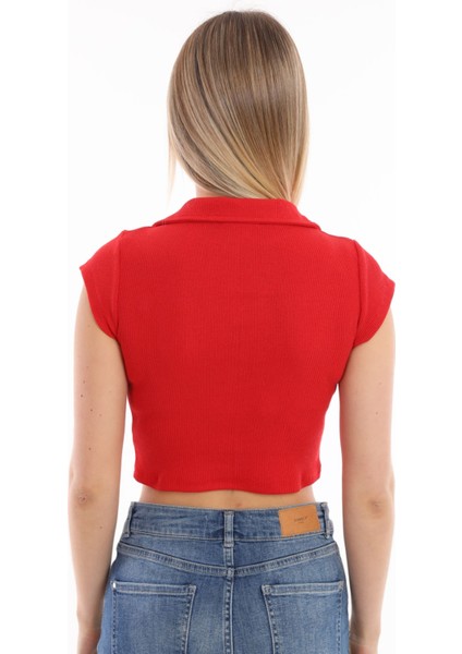 Belifanti Collection Kadın Kırmızı Polo Yaka Crop Top