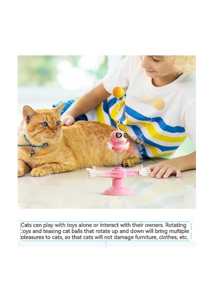 Kedi Oyuncak Top Komik Kedi Sopa (Yurt Dışından) fiyatları