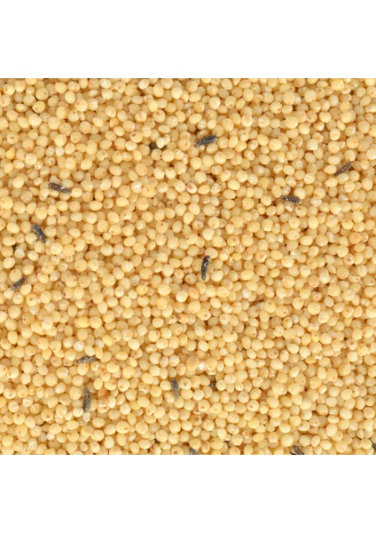 Special Kabuksuz Kuş Yemi 400GR fiyatları