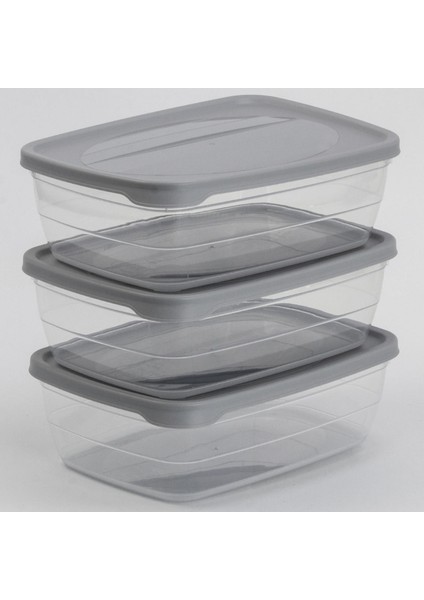 Trend Saklama Kabı 2 lt 3'lü modelleri