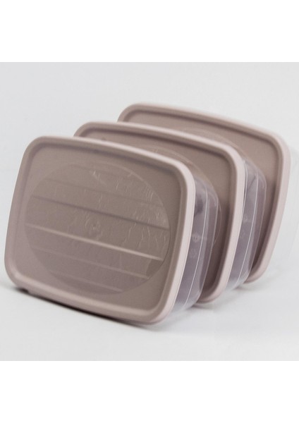 Trend Saklama Kabı 2 lt 3'lü fırsatları