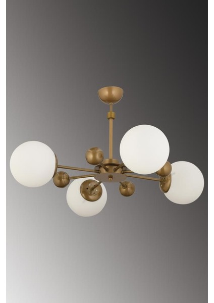 Istanbul Avize Nairobi 4'lü Eskitme Kasa Beyaz Glop Camlı Avize fiyatları