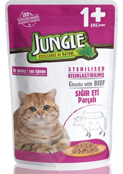 Kısır Kedi Biftekli 100 gr Pouch