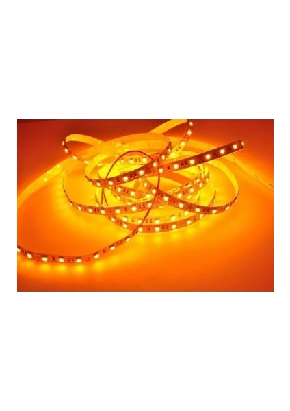 Şerit LED 10 Metre Tüm Renkler +10 Amper Ultra Slim Trafo Iç Mekan Double Pcb fırsatları