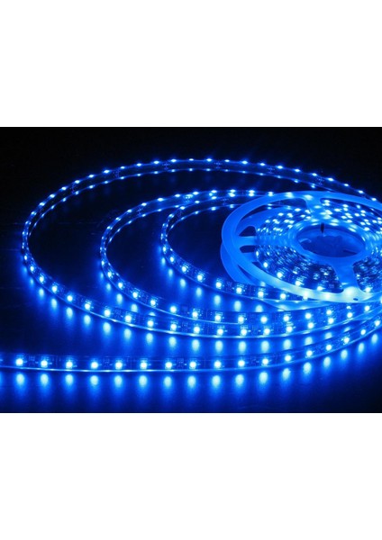 Şerit LED 10 Metre Tüm Renkler +10 Amper Ultra Slim Trafo Iç Mekan Double Pcb