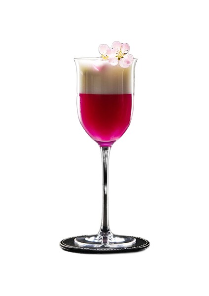 1 Adet 190 ml Kokteyl Gözlükleri Tating Cam Goblet Cam Bardak (Yurt Dışından)