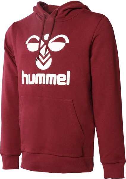 Arus Erkek Bordo Kapüşonlu Sweatshirt fiyatları