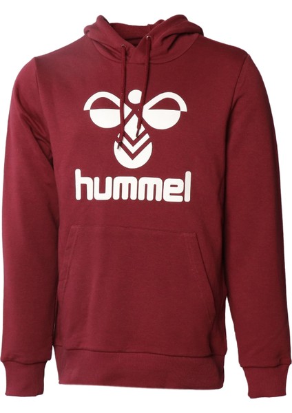 Arus Erkek Bordo Kapüşonlu Sweatshirt