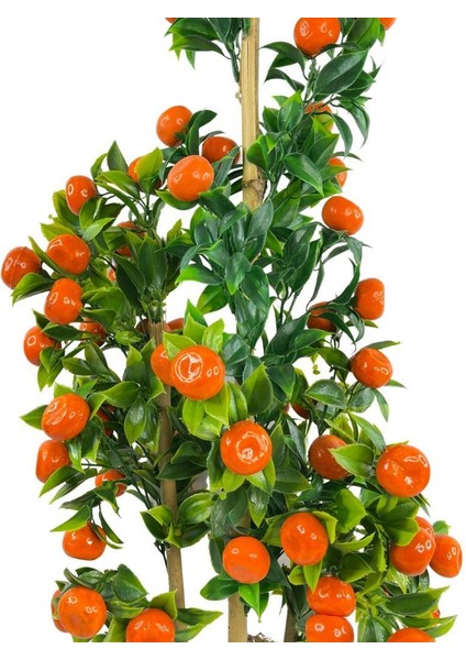 Yapay Ağaç Mandalina Ağacı 80CM 3boy Bambuda Akrilik Siyah Saksılı indirimleri