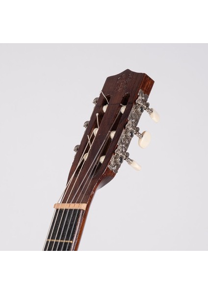 Klasik Gitar DNZ375 Gitar Softcase Sert +Kılıf