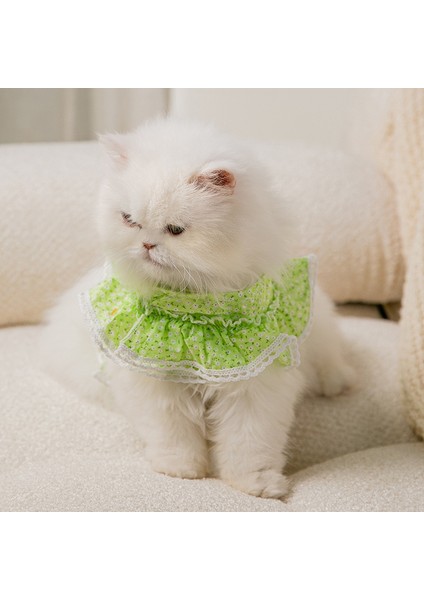 Çiçekli Askılı Kedi Eteği (Yurt Dışından)