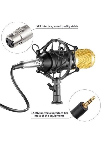 Bm 800 Profesyonel Kondenser Mikrofon Seti: Bilgisayar + Bm 800 Mikrofon BM800 Olarak Şok Montaj + Köpük Kapağı + Kablo (Yurt Dışından)