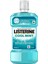Ağız Bakım Suyu Cool Mint 250 ml 1