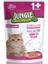 Kısır Kedi Biftekli 100 gr Pouch 1