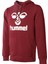 Arus Erkek Bordo Kapüşonlu Sweatshirt 2