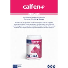 Vioment Calfent 600 Gr - Sağlıklı Bir Gelişim İçin; En İyi Destek - Buzağı, Kuzu, Oğlak, Premiks, Yem Katkı,