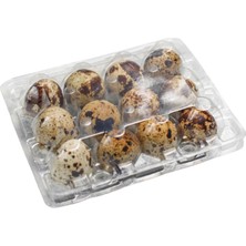 Ucuz Viyol Bıldırcın Yumurtası Viyolü  100 Adet