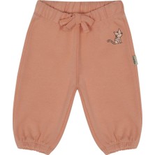 Antebies Organik Turuncu Kedi Nakışlı Beli Lastikli Bağcıklı Kız Bebek Eşofman