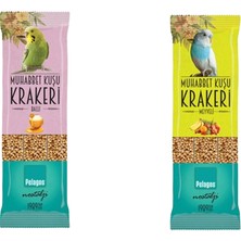 Pelagos Ballı - Meyveli  Muhabbet Krakeri 2 Paket