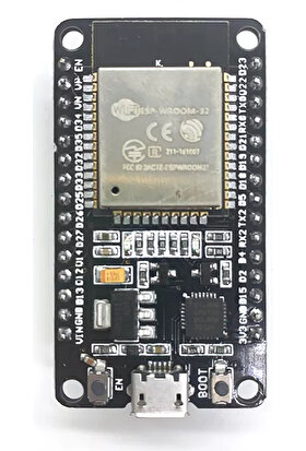 Arduino ESP32 30 Pin Esp Wroom 32 Wifi Bluetooth Çift Çekirdekli